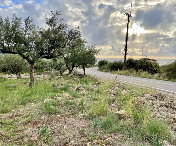 Image No.10-Plot for sale