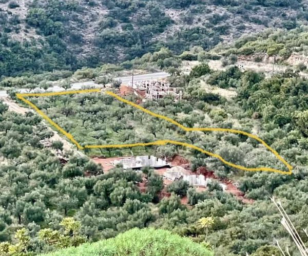 Image No.4-Plot for sale