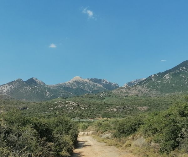 Image No.7-Plot for sale