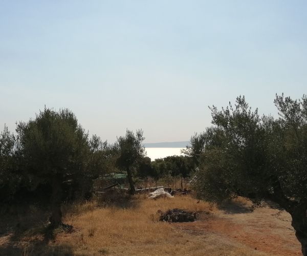 Image No.14-Plot for sale