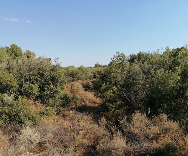 Image No.18-Plot for sale