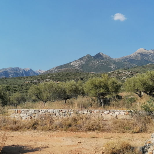 Image No.2-Plot for sale