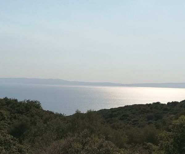 Image No.5-Plot for sale