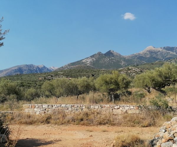 Image No.8-Plot for sale