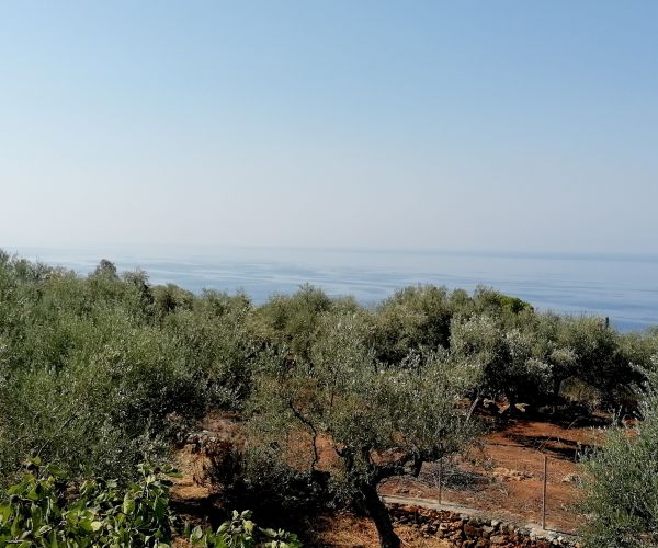 Image No.11-4 Bed House for sale