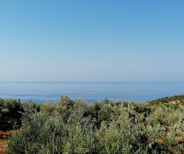 Image No.12-4 Bed House for sale