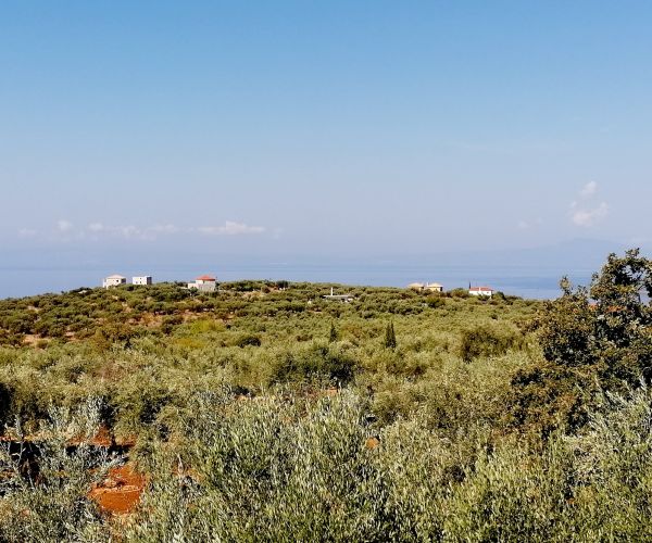 Image No.13-4 Bed House for sale