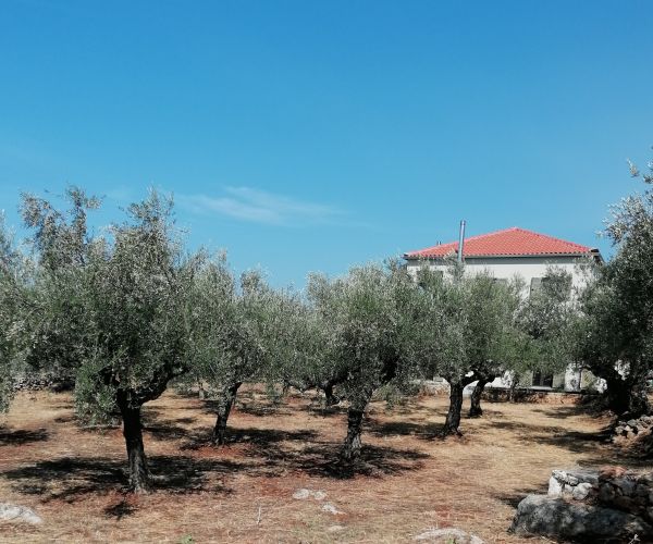 Image No.40-4 Bed House for sale