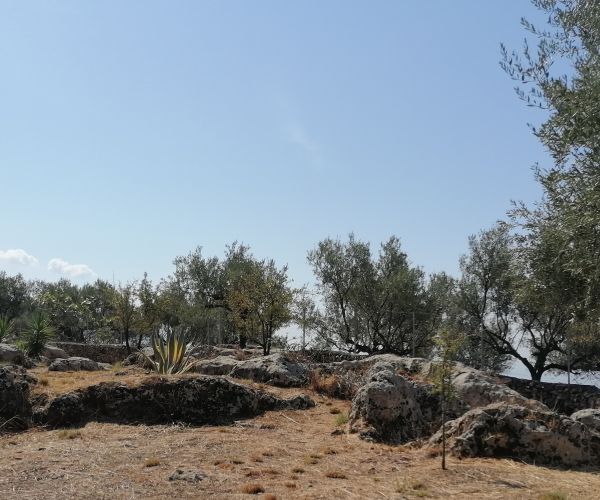 Image No.41-4 Bed House for sale