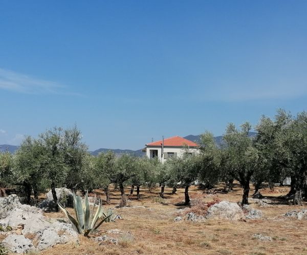 Image No.42-4 Bed House for sale