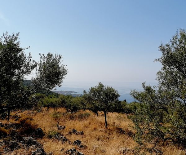 Image No.43-4 Bed House for sale