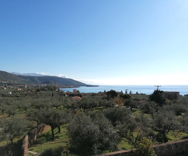 Image No.10-5 Bed House for sale