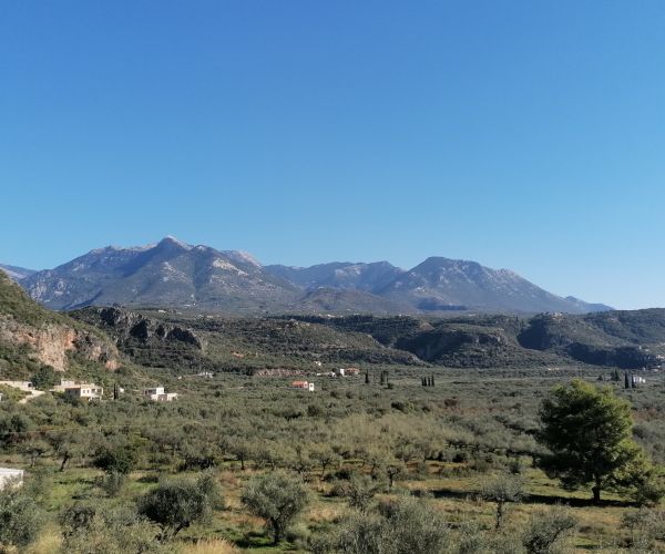 Image No.11-5 Bed House for sale