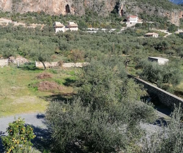 Image No.12-5 Bed House for sale