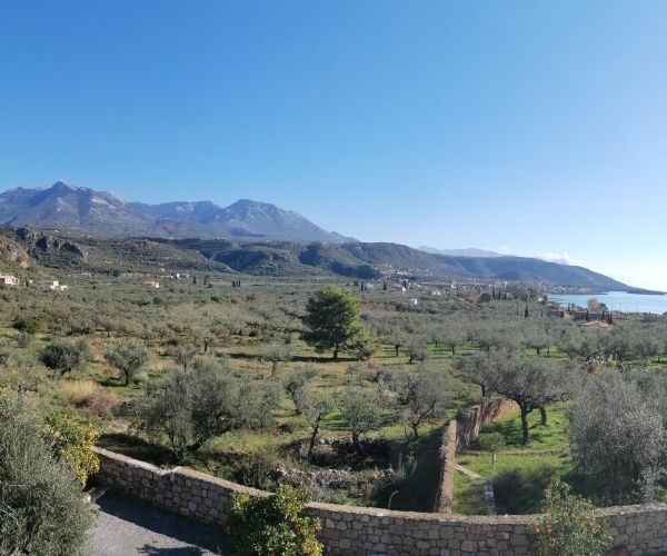 Image No.19-5 Bed House for sale