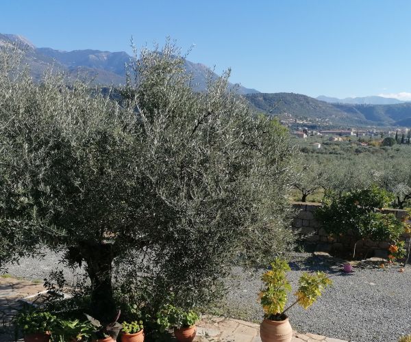 Image No.34-5 Bed House for sale