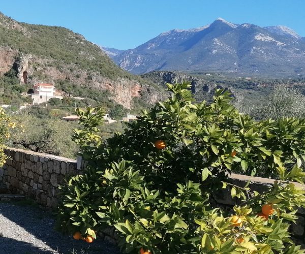 Image No.45-5 Bed House for sale