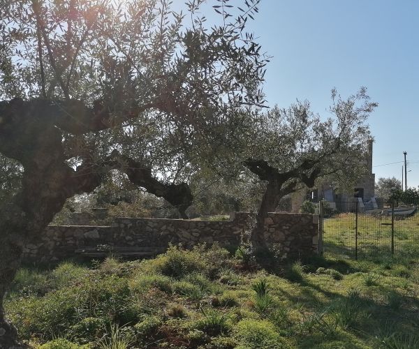 Image No.51-5 Bed House for sale