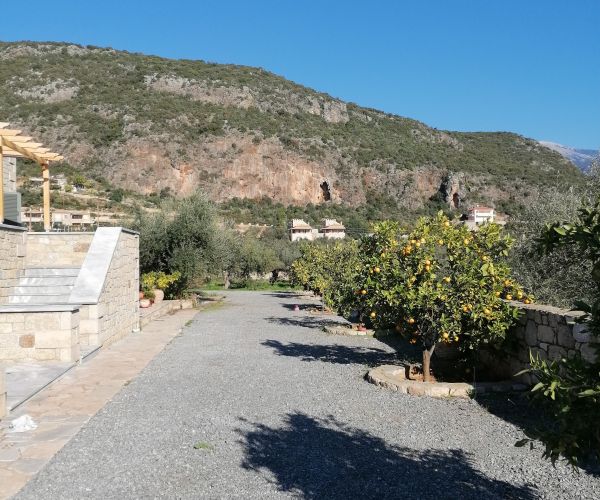 Image No.8-5 Bed House for sale