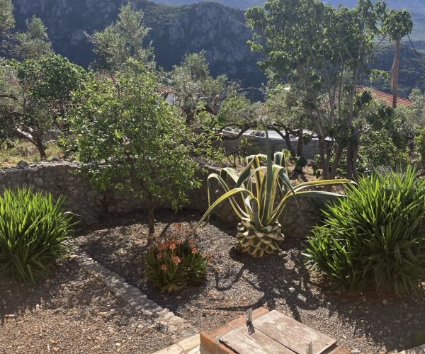 Image No.20-1 Bed House for sale