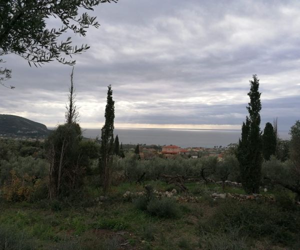 Image No.7-Plot for sale