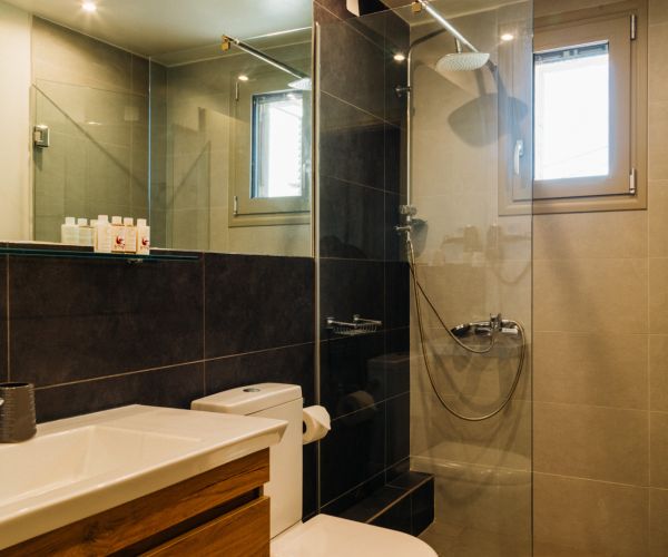 Image No.9-6 Bed House for sale