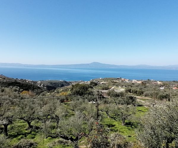 Image No.12-3 Bed House for sale