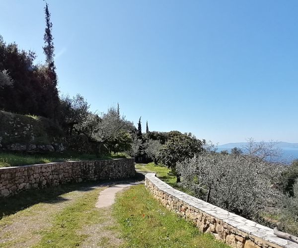 Image No.16-3 Bed House for sale