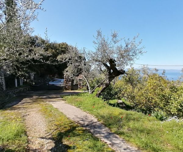 Image No.18-3 Bed House for sale