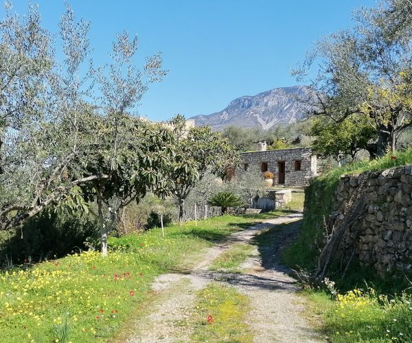 Image No.19-3 Bed House for sale