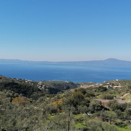 Image No.2-3 Bed House for sale