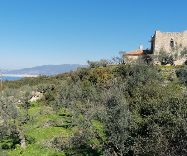 Image No.20-3 Bed House for sale