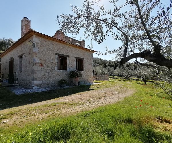 Image No.21-3 Bed House for sale