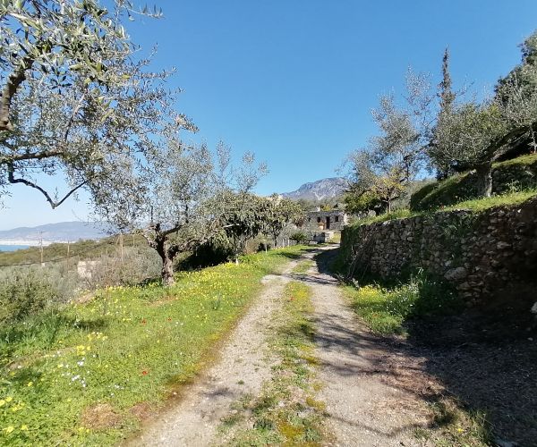 Image No.22-3 Bed House for sale