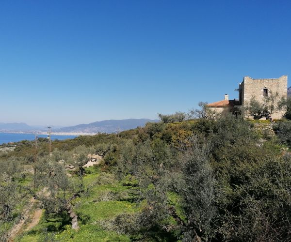 Image No.23-3 Bed House for sale