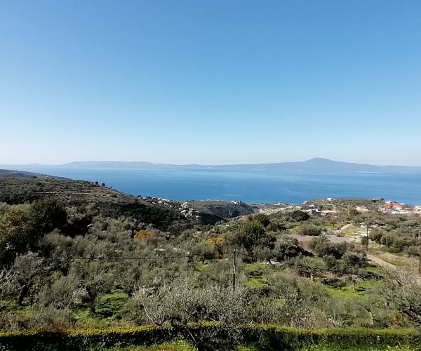 Image No.50-3 Bed House for sale