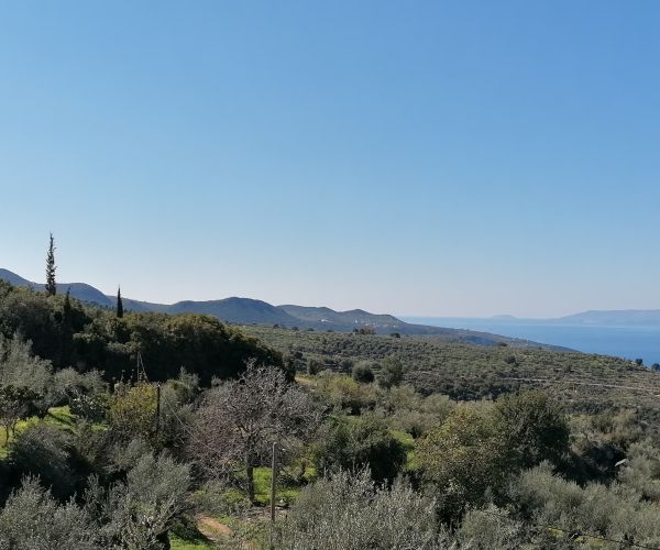 Image No.51-3 Bed House for sale