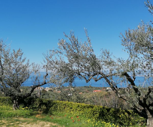 Image No.52-3 Bed House for sale