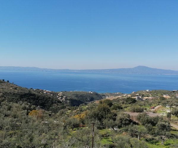 Image No.53-3 Bed House for sale