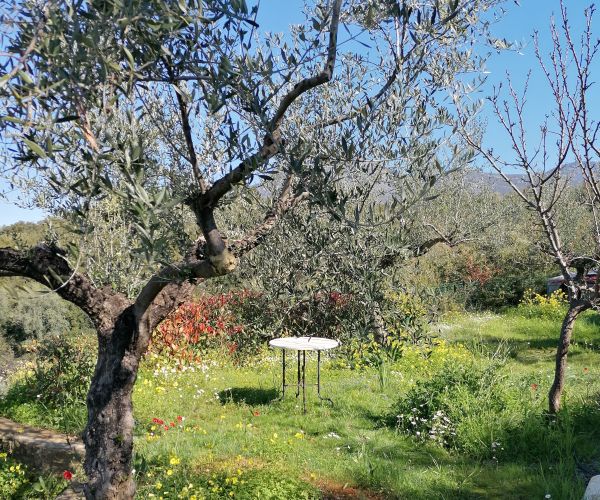 Image No.54-3 Bed House for sale