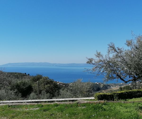 Image No.57-3 Bed House for sale