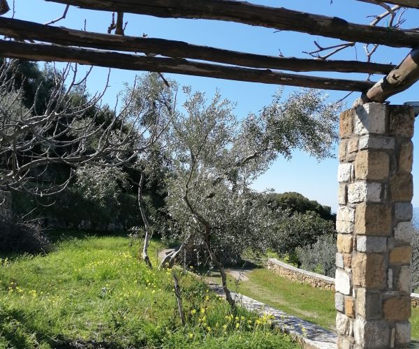 Image No.58-3 Bed House for sale