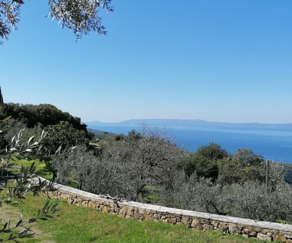 Image No.59-3 Bed House for sale