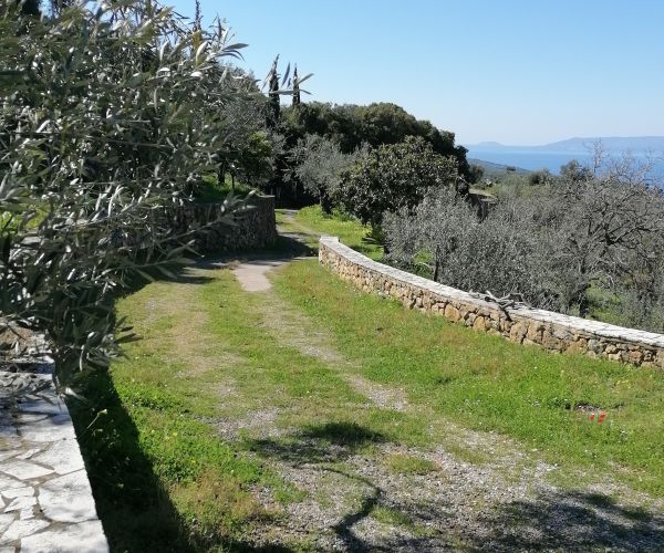 Image No.60-3 Bed House for sale