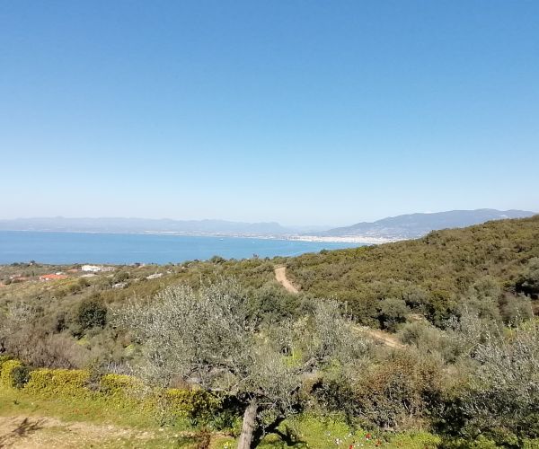 Image No.7-3 Bed House for sale