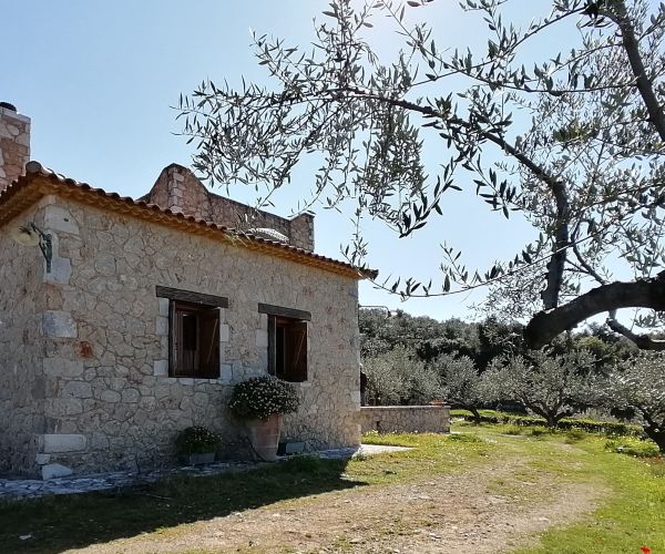 Image No.8-3 Bed House for sale