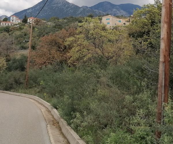 Image No.10-Plot for sale