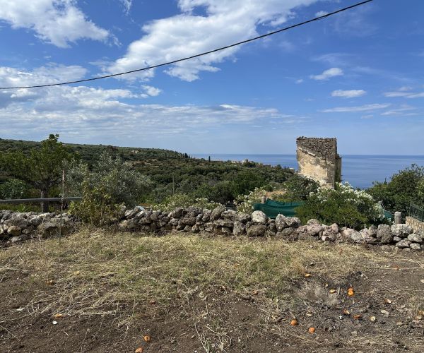 Image No.5-Plot for sale