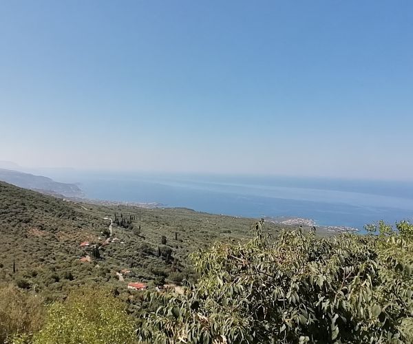 Image No.30-2 Bed House for sale