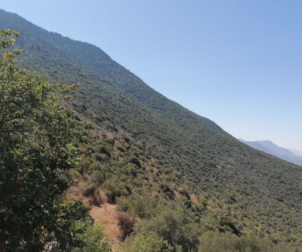 Image No.31-2 Bed House for sale